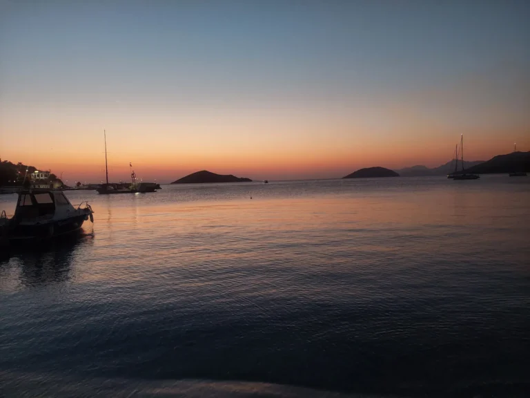 20231013 065420 1 768x576