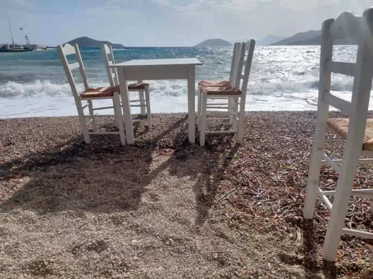 20231104 101009 768x576