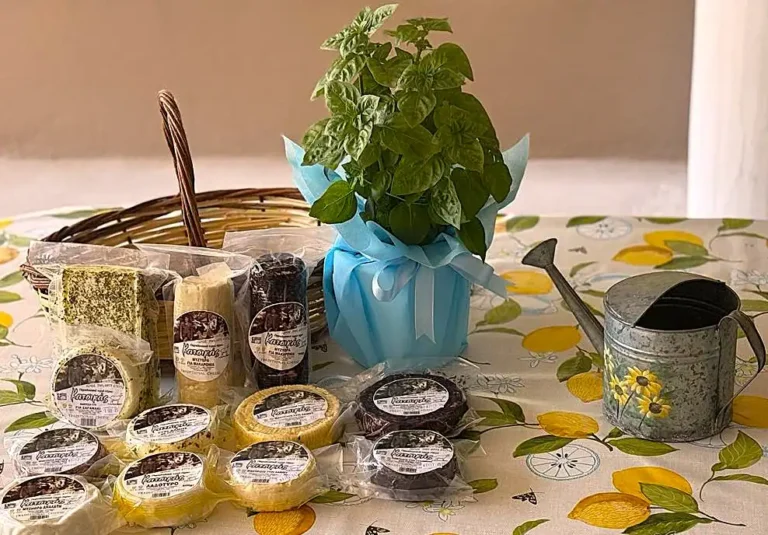 2e8cccc6 bc48 490d 9875 f3624a5b8052 1 768x535