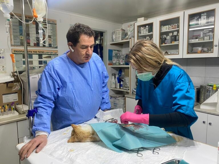 473165889 122113498424658572 4227797285405529819 n 768x576