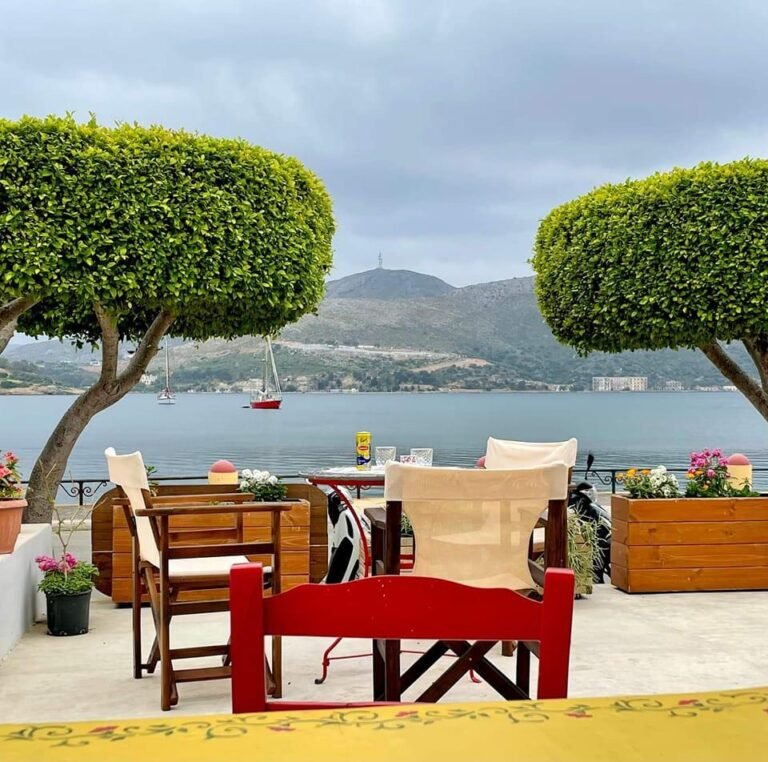 477590398 3971882193093731 6307368179706212470 n 768x762