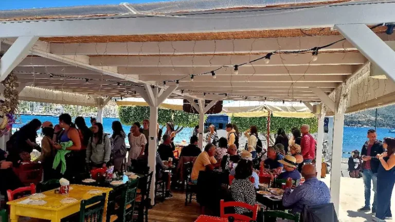 492484453 1260609989408494 2198224733829101578 n 768x432