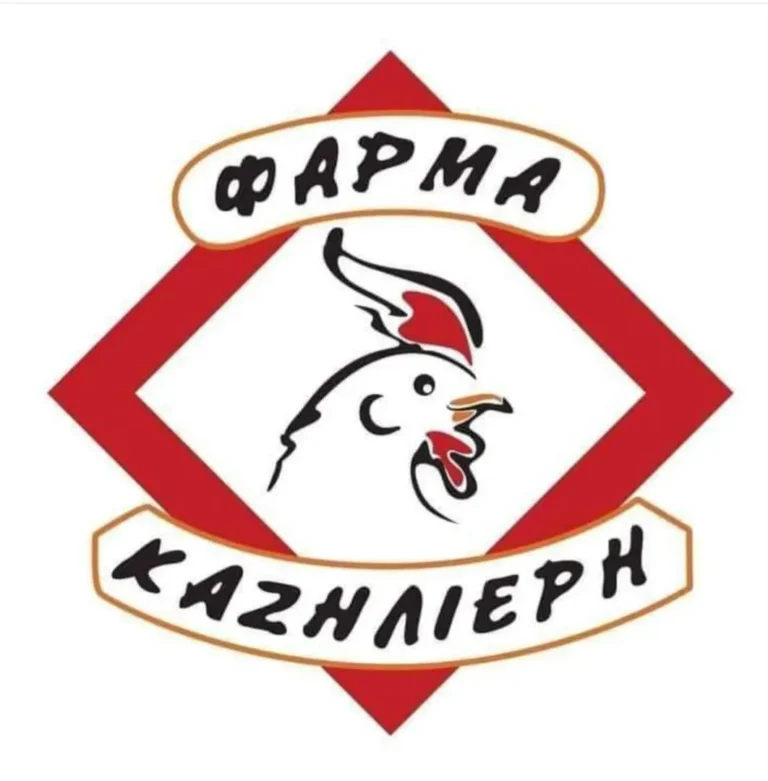 486555244 1809768423191250 3870446892902831043 n 768x781