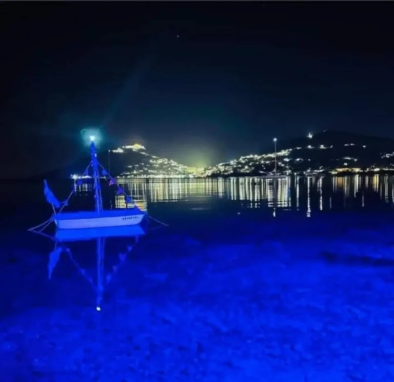 d6605775 2182 44f5 b40d 985a9a2013b2 768x746