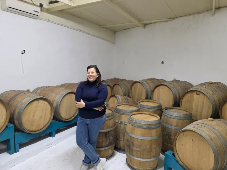 viber image 2025 06 04 11 28 49 497 768x576