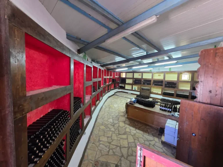 viber image 2025 06 04 11 28 49 566 768x576