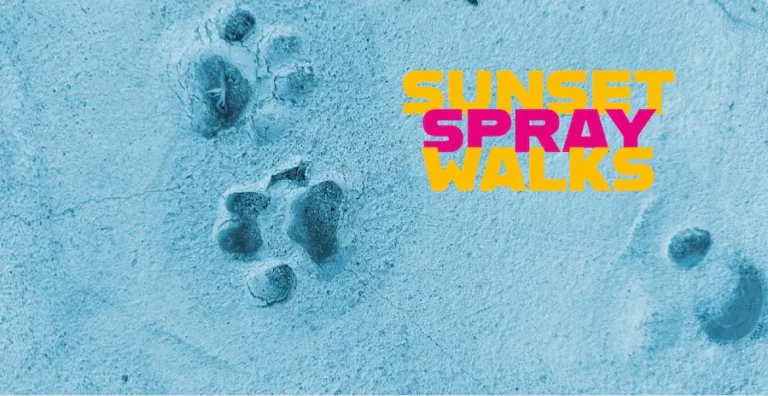 sunset Spray Walks I 768x396