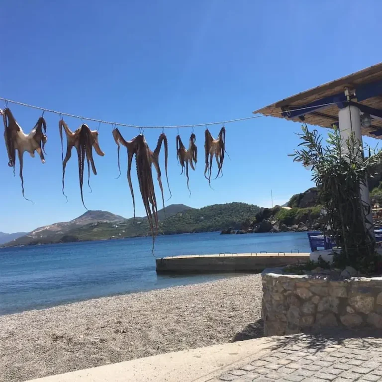 480963326 122122973834658572 6932758810537965794 n 768x768