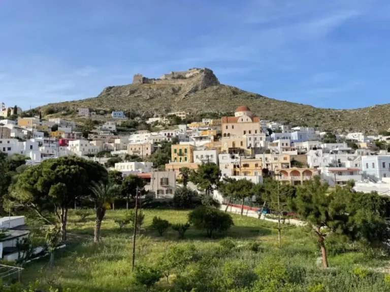 Screenshot 2026 01 29 111755 768x575