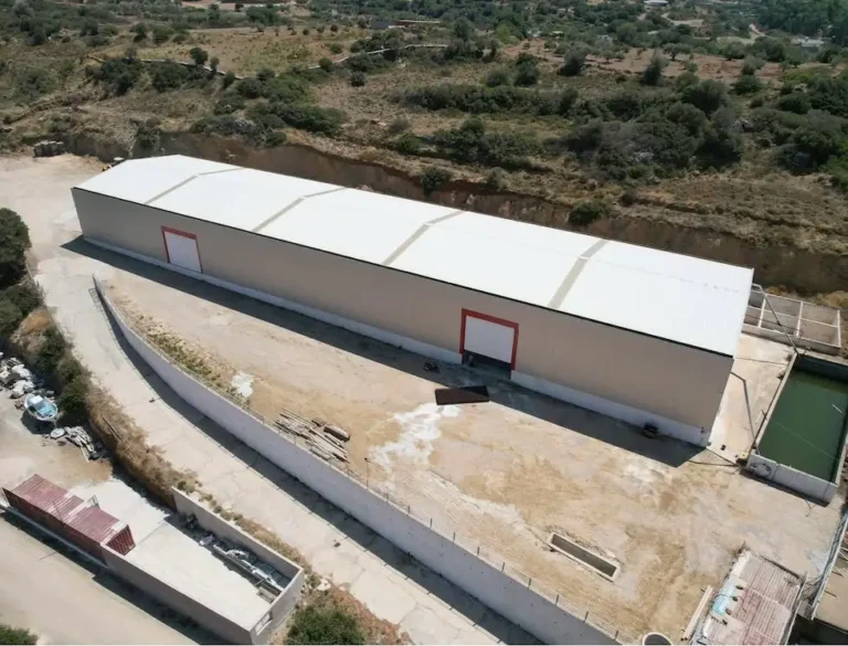 viber image 2026 02 03 15 00 35 112 768x585