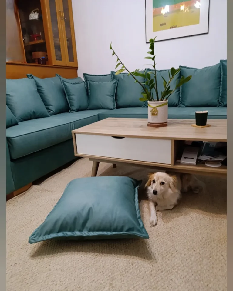 viber image 2026 02 25 19 28 37 987 768x960