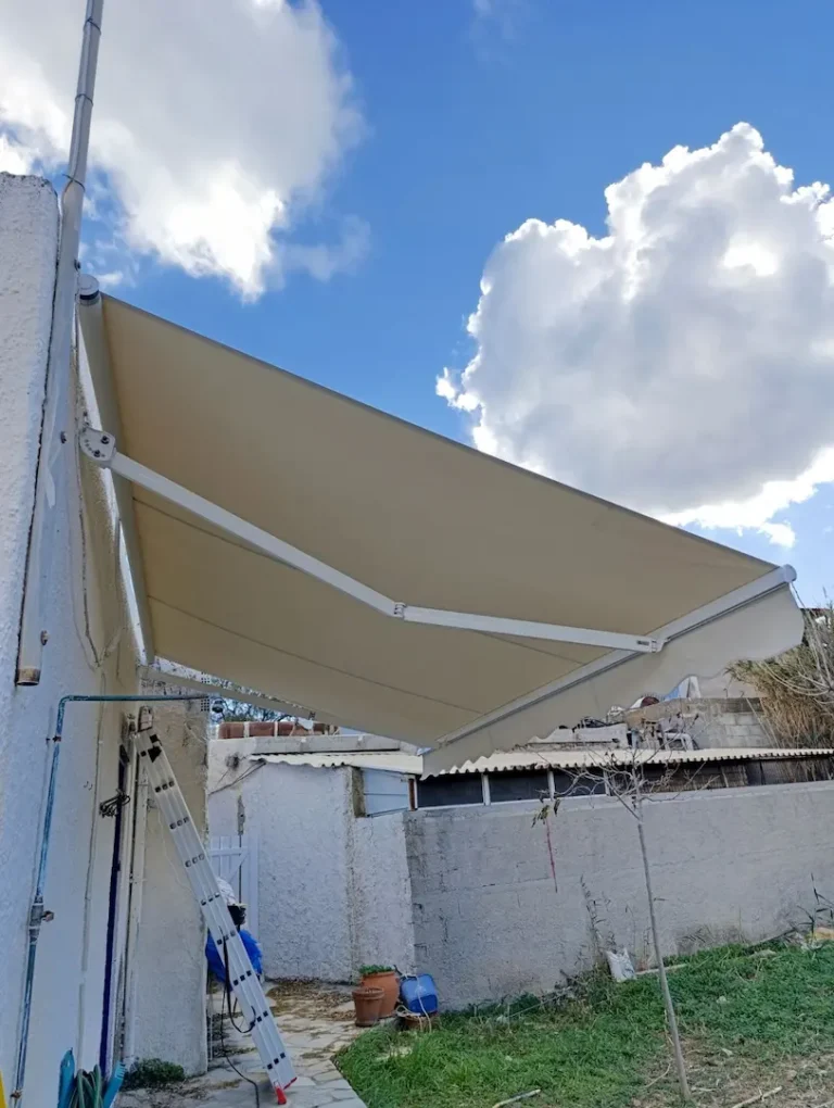 viber image 2026 02 25 19 28 39 039 768x1020