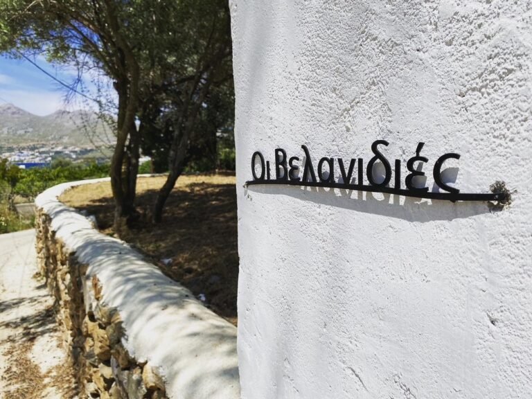 9FECC8B9 4D38 41B3 8441 5E493A08A0D8 768x576