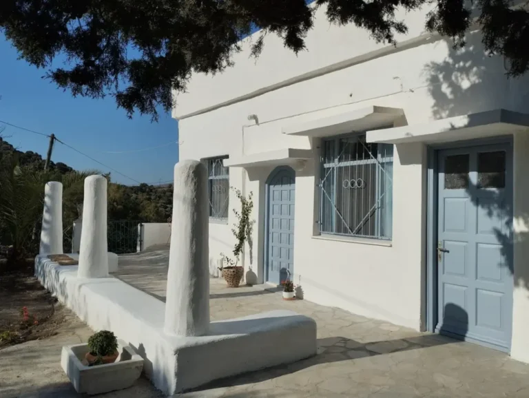 White cat 1024x771 1 768x578