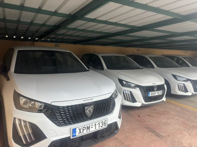 viber image 2026 03 03 12 56 10 438 768x576