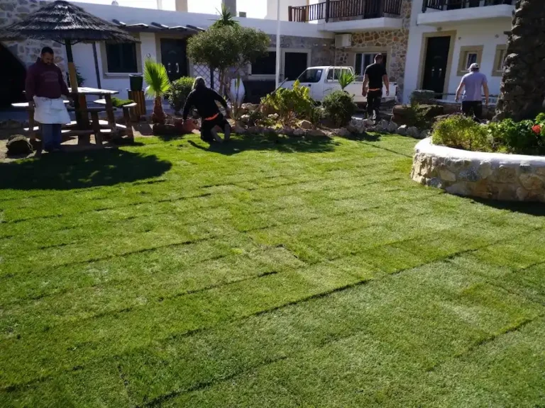 viber image 2026 04 15 13 28 15 137 768x576